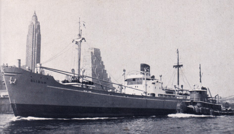 D. „Blidum“