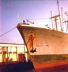 Foto: Manfred Müller